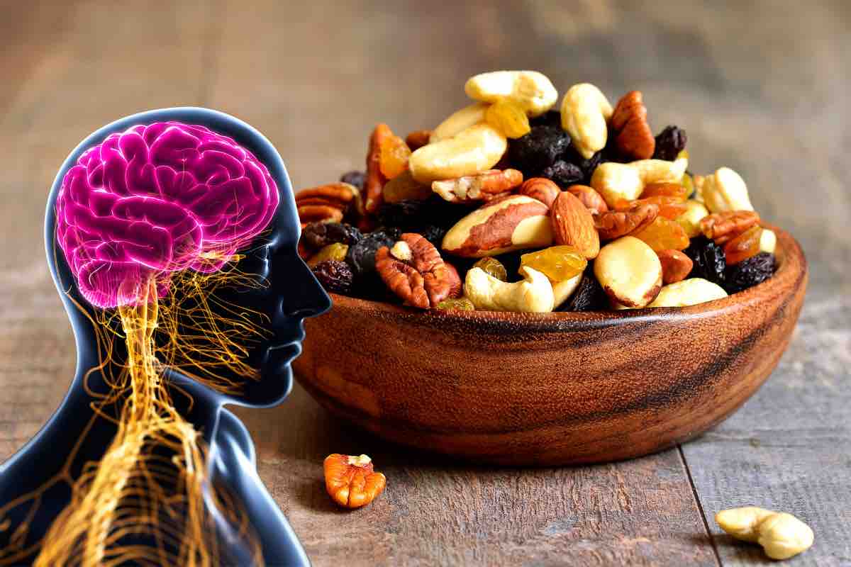 Cibo e cervello
