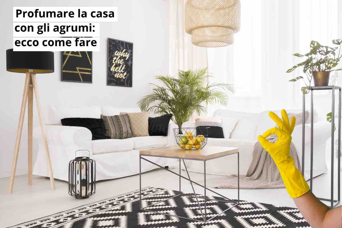 casa