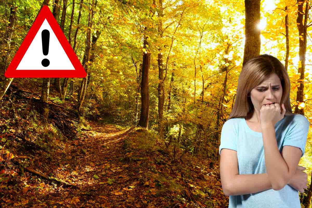 Autunno ed ansia