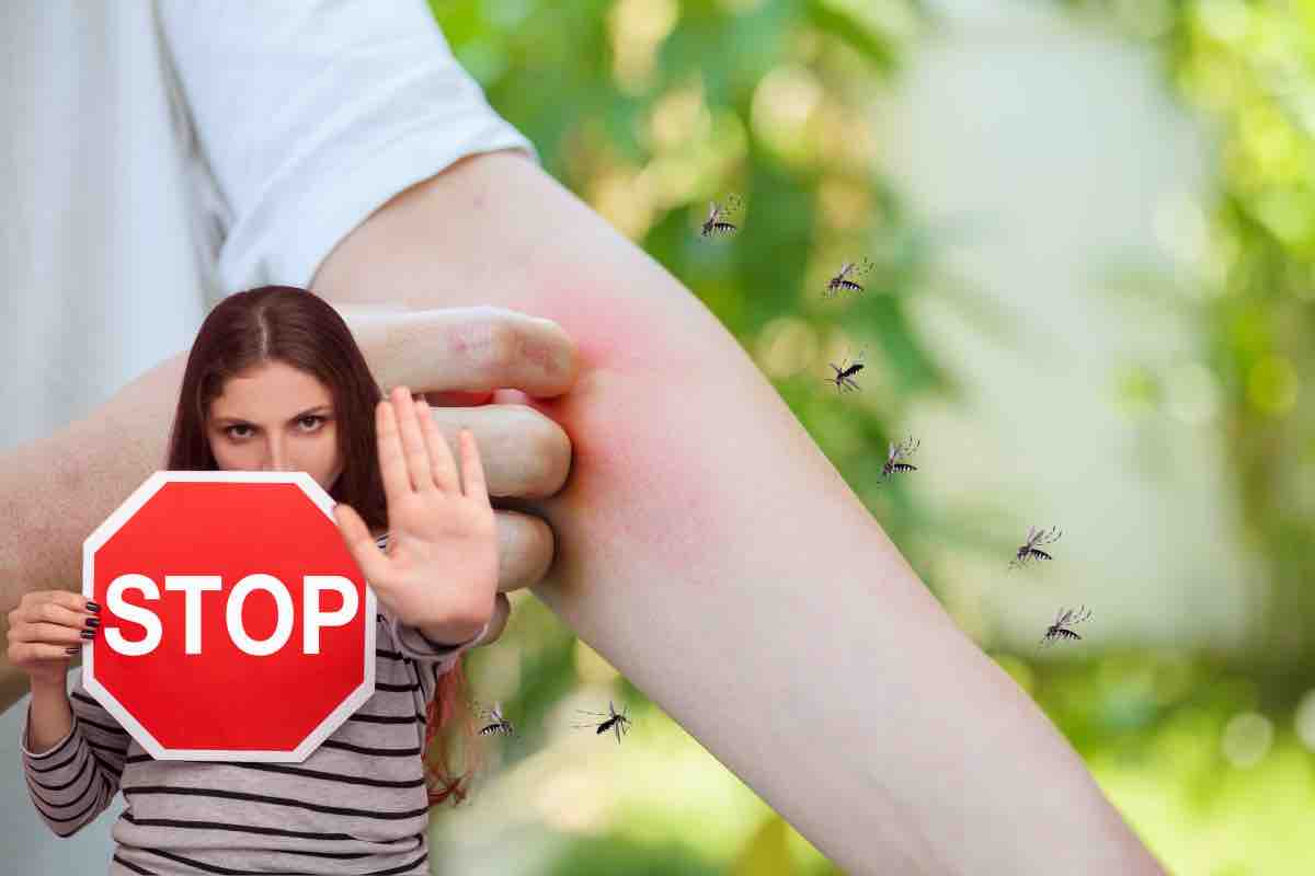 Stop